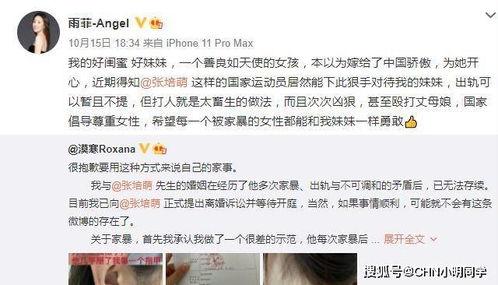 祁隆老婆爆料视频在线观看,揭秘夫妻感情背后的真相 第2张 祁隆老婆爆料视频在线观看,揭秘夫妻感情背后的真相 第2张